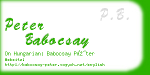 peter babocsay business card